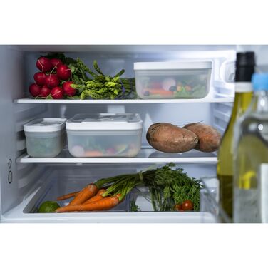Вакуумный бокс для холодильника, 2 л Fresh & Save Zwilling