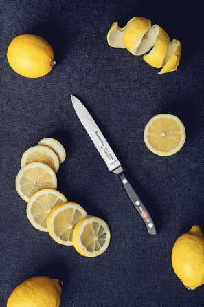 Нож универсальный 13 см Premier Plus F. DICK