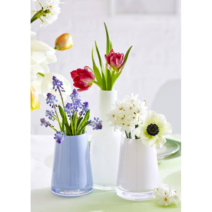 Vasen коллекция от бренда Villeroy & Boch
