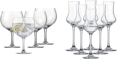 Набор бокалов для джина-тоника и классических бокалов 10 предметов Schott Zwiesel