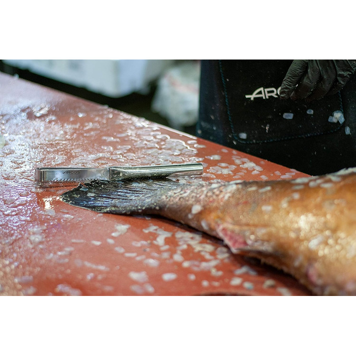 Нож для очистки рыбы 26 см Arcos