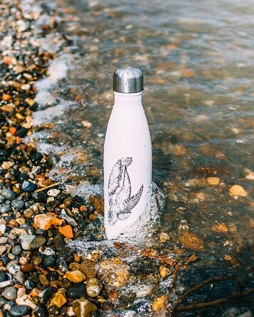Вакуумная бутылка для воды 0,5 л, серая Sealife Turtle CHILLY'S